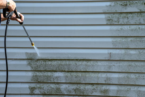 Best Yard Waste Removal  in Cordaville, MA
