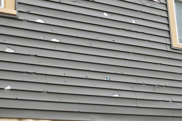 Best Basement Cleanout  in Cordaville, MA